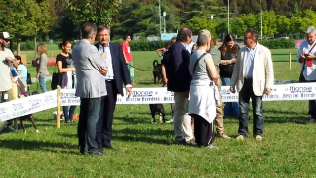 Insieme per recuperare il parco Bissuola