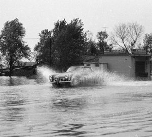 Anche questa fu "Aqua Granda", il '66 visto dalla terraferma veneziana