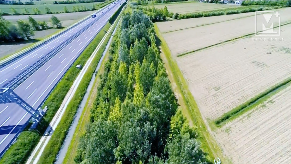 Il Passante: verde per il traffico, verde per l’ambiente