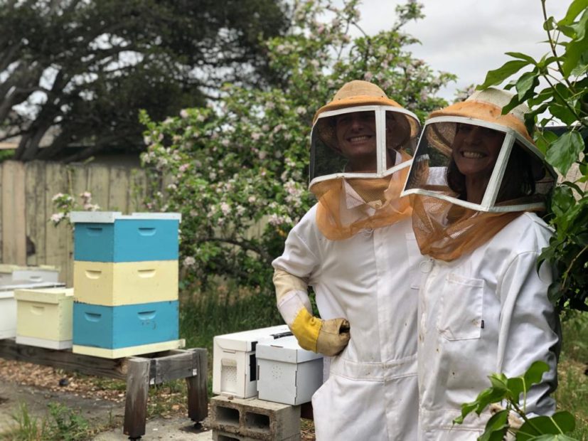 Dalle api l'alternativa ecologica alla plastica