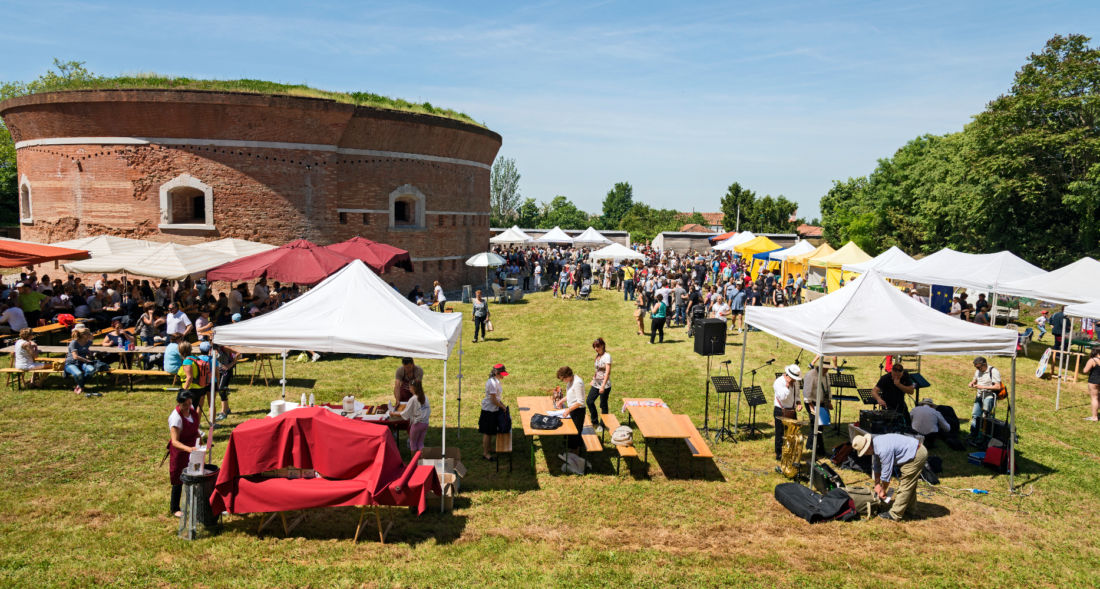 Isola di Sant'Erasmo (Venezia) - Torre Massimiliana - Festa del carciofo violetto 2015