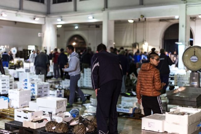 Il Mercato Ittico Di Chioggia, 60 Anni Di Attività - Metropolitano.it