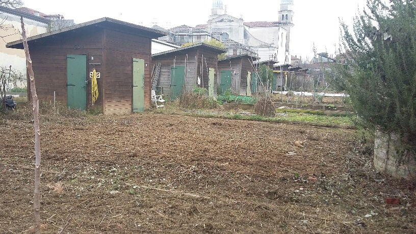 Orti Urbani al via le richieste di assegnazione a Venezia