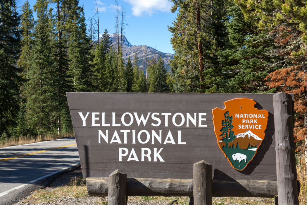 Virtual trip Yellowstone National Park