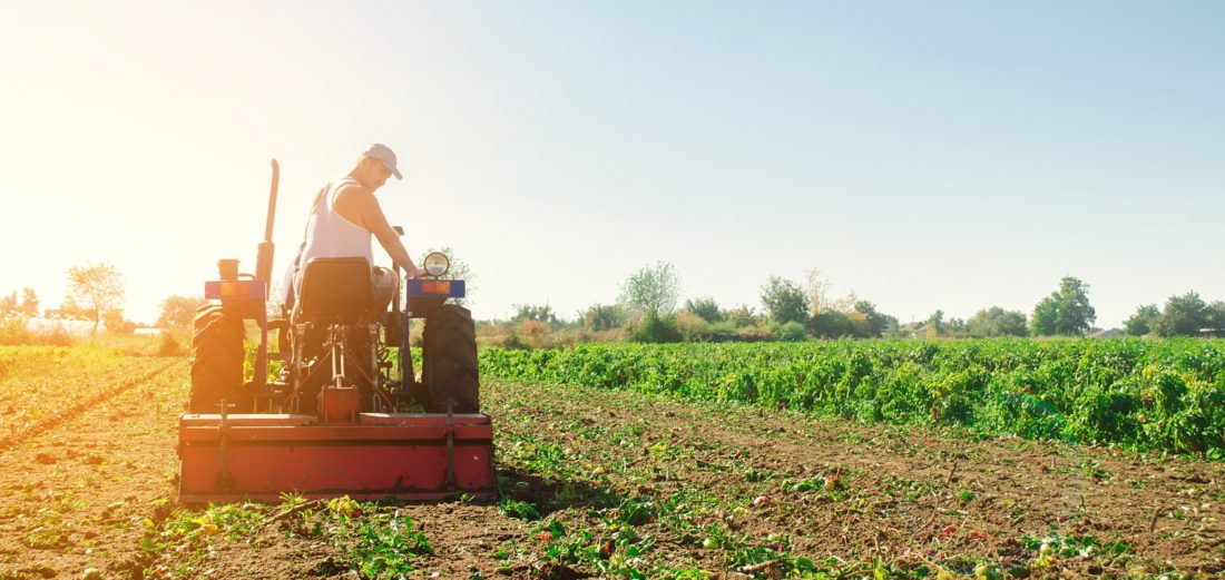 Italia: l'agricoltura sostenibile è in netta crescita.
