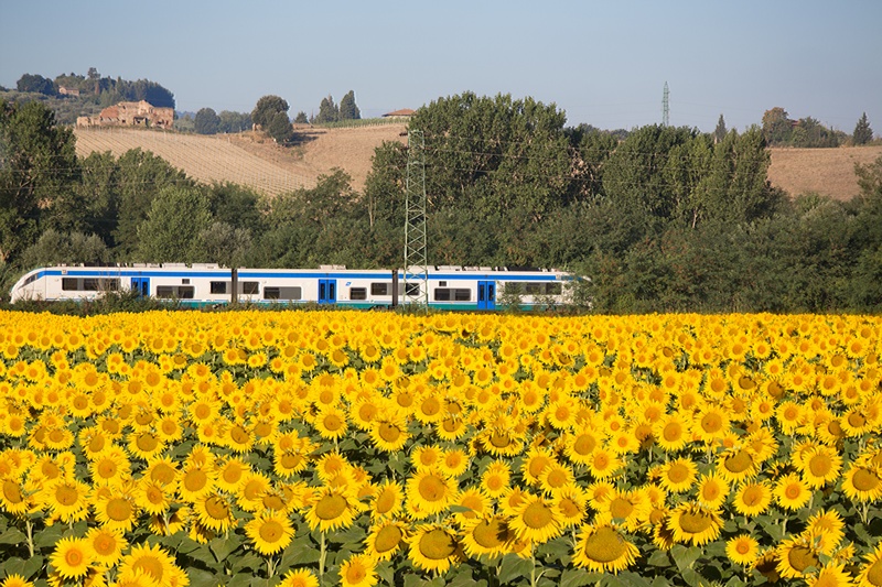 Il treno di Dante: da Firenze a Ravenna si viaggia attraverso la storia