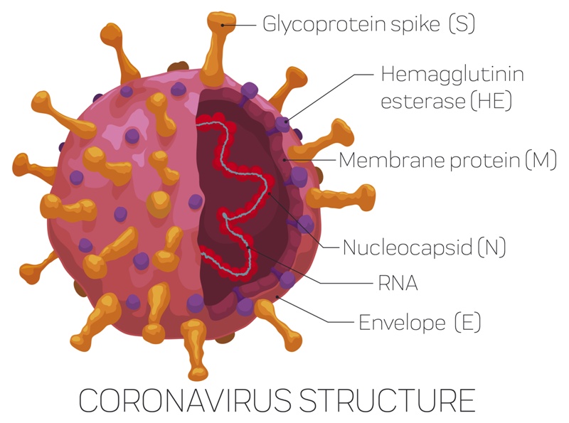 NVX-CoV2373