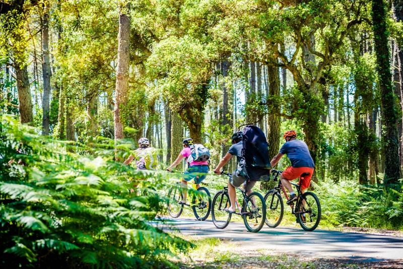 Il Veneto in bicicletta