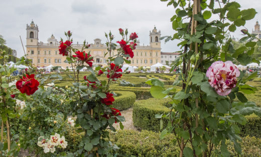 “Nel segno del Giglio”: a Colorno (PR), la mostra-mercato del giardinaggio