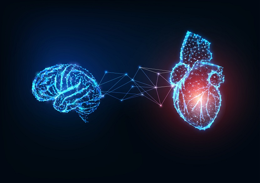 Cuore e cervello, a Venezia si approfondisce una nuova frontiera della ricerca