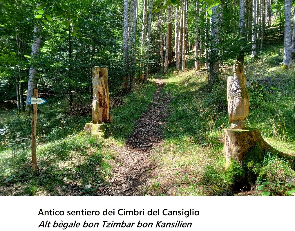 Il popolo dei Cimbri nella Foresta del Cansiglio