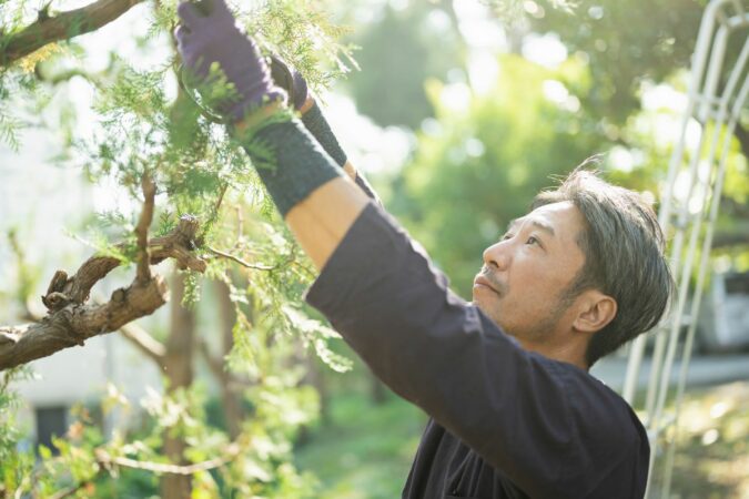 lavoro domestico