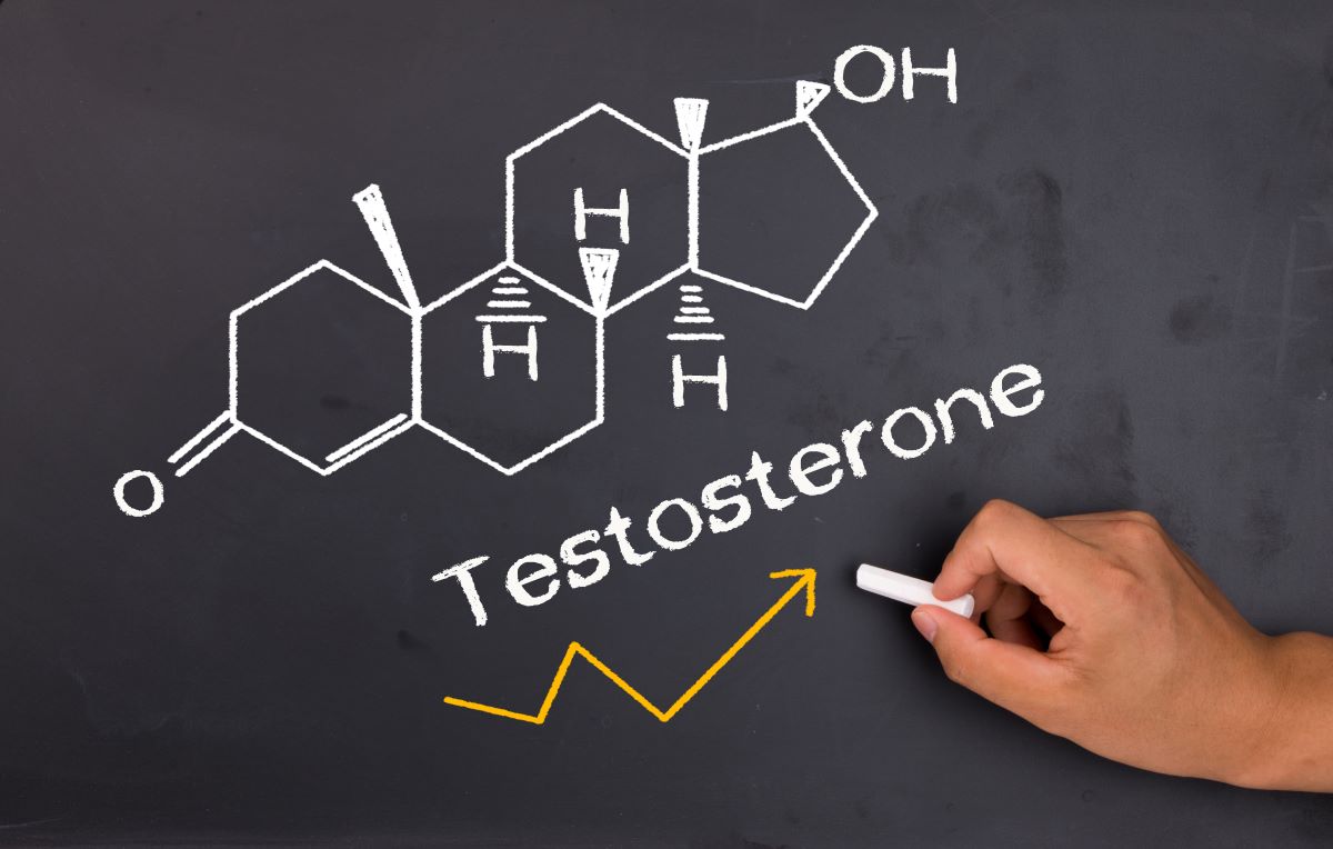 testosterone