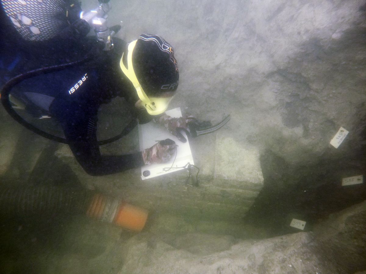 A Lio Piccolo riemerge l'antico litorale d'epoca romana