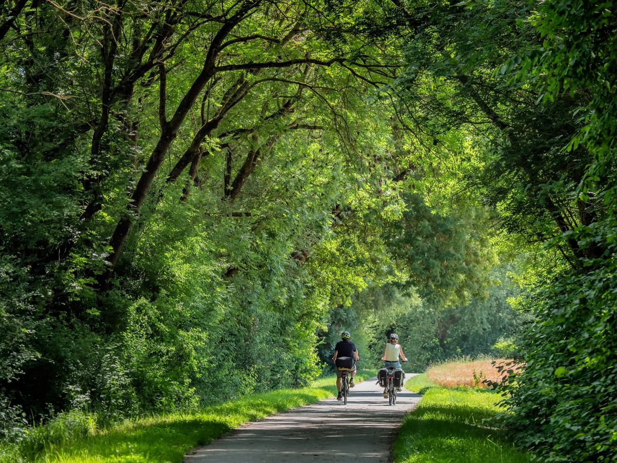 La Ciclovia Pedemontana vince il Green Road Award 2024