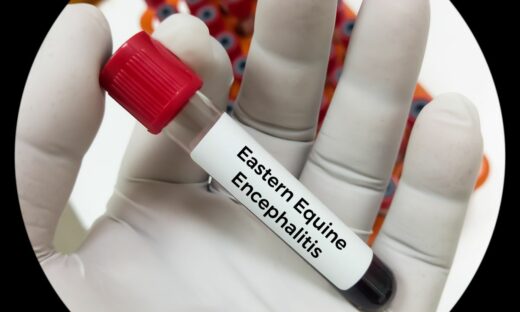 Encefalite equina: dagli Usa un nuovo allarme-virus