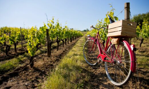 In bici tra vigneti, borghi e cantine