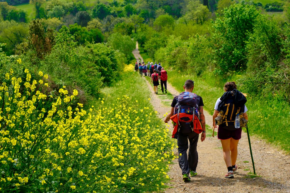 trekking