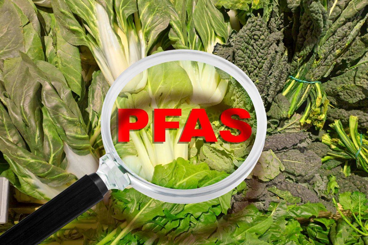 pfass