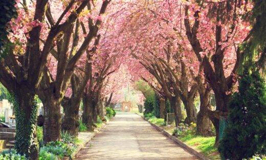 Meteo: ecco la primavera anticipata